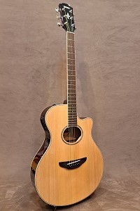 Yamaha APX600 NT